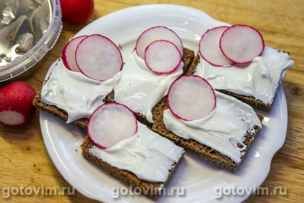 Бутерброд с селедкой, плавленым сыром и редисом