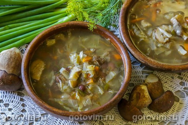 Щи летние с фасолью и белыми грибами