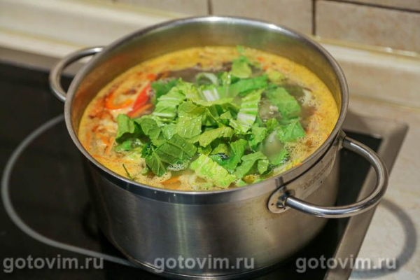 Суп из говядины с пекинской капустой и чили